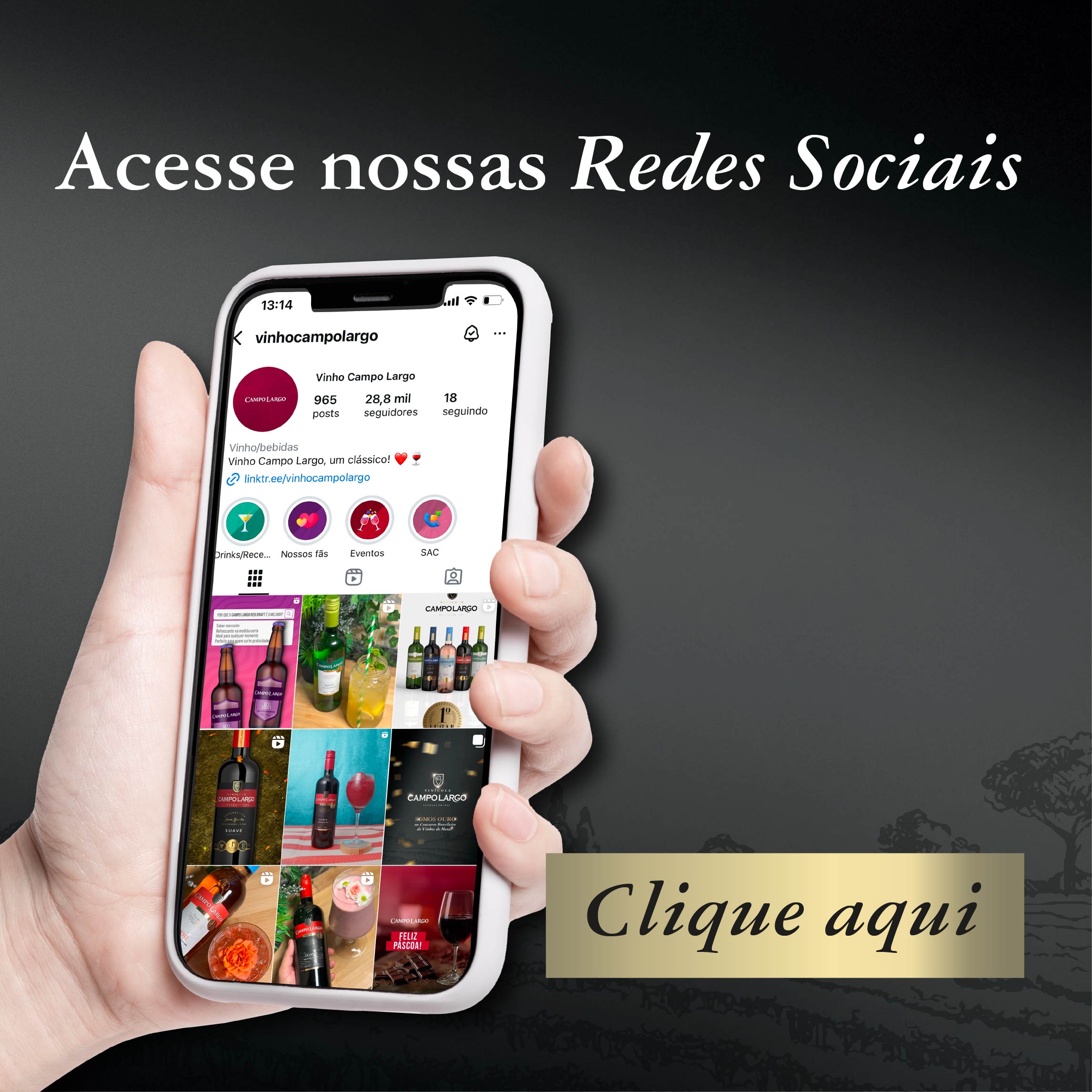 banner Vinhos Campo Largo